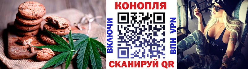 цена   Губаха  Canna-Cookies конопля 