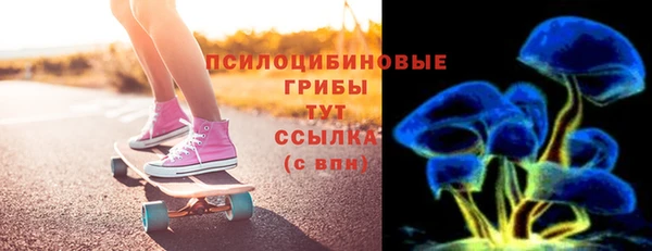 мдпв Надым