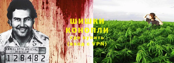 мдпв Надым