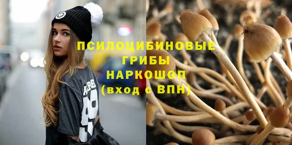 мдпв Надым
