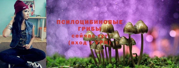 мдпв Надым