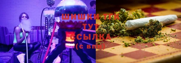 мдпв Надым