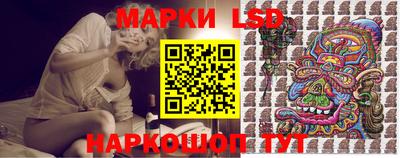 стаф Гатчина