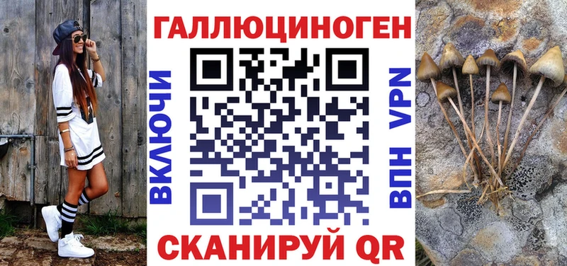 hydra как зайти  Губаха  Галлюциногенные грибы прущие грибы 