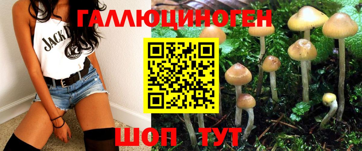 Губаха  хочу наркоту  Вход с VPN  Галлюциногенные грибы GOLDEN TEACHER 