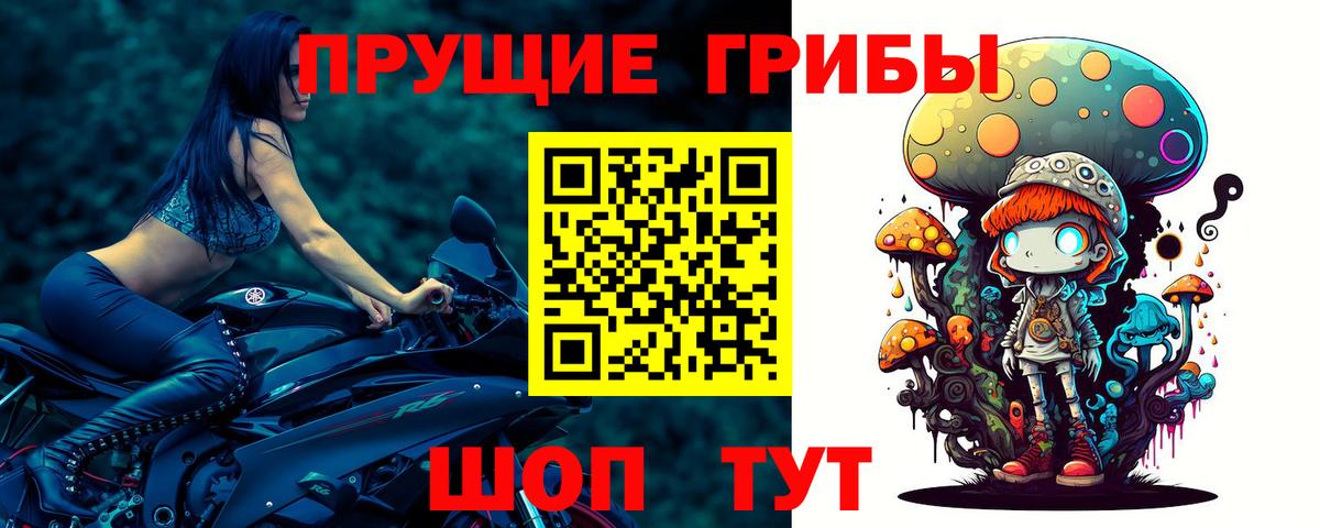 Галлюциногенные грибы прущие грибы Губаха