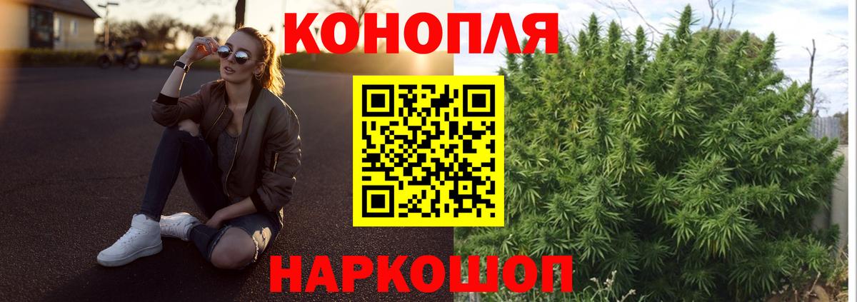 Каннабис семена Губаха